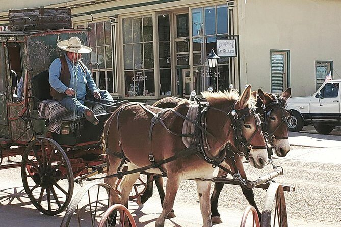 Tombstone and Bisbee Sightseeing Tour with Saguaro N.P. - Detailed Breakdown of the Itinerary