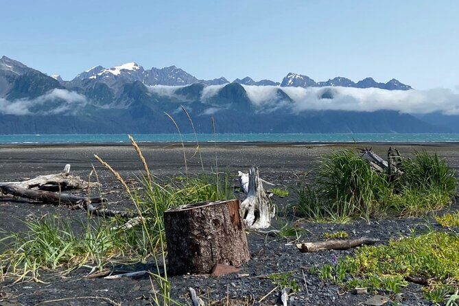 Tonsina Beach Hike with Seward Guided Hikes - An In-Depth Look at the Tour