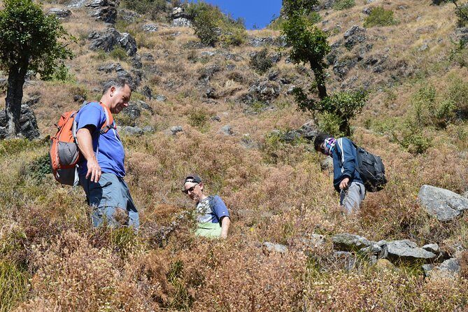 Top Tibba Day Hike and Dhanaulti Visit - Who Will Love This Experience?