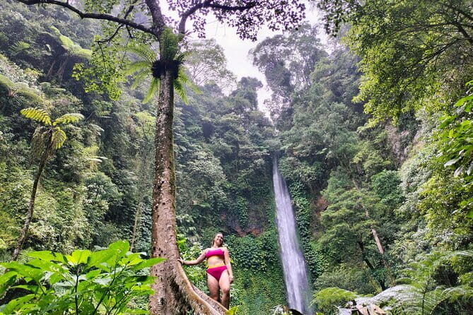 Top Waterfalls in Bali: Leke-Leke, Aling-Aling, Blue Lagoon - Who Is This Tour Perfect For?