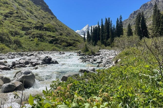 Tour to the Ala Archa National Park - Why this Tour Appeals