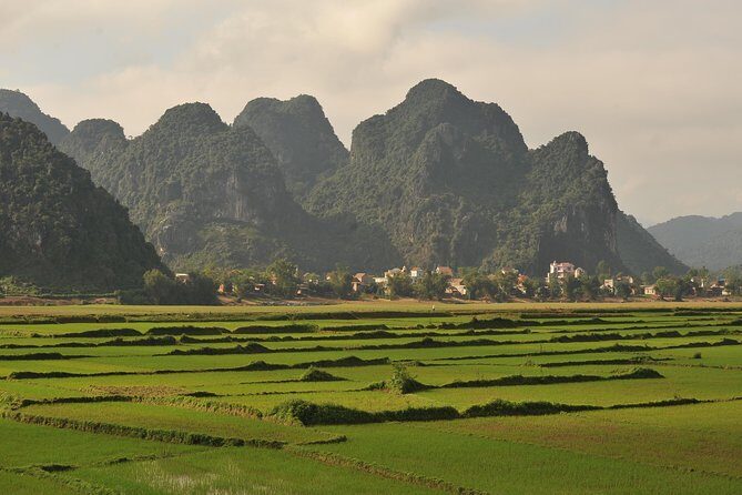 Tour to the caves ONE DAY tour to Phong Nha and Paradise caves - An In-Depth Look at the Tour Experience