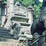 Tours and Transportation in Sri Lanka - What to Expect from This Tour