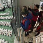 Toyosu Market Morning Tuna Auction and Tsukiji Food Tour with Licensed Guide - Authentic Experiences and Reviews