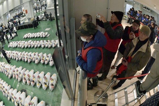 Toyosu Market Morning Tuna Auction and Tsukiji Food Tour with Licensed Guide - Authentic Experiences and Reviews