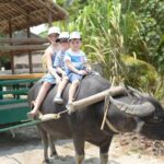 Traditional Cooking Class with Basket Boat Ride and market Tour - FAQ