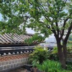 Traditional Seoul Gourmet Tour in Bukchon - Who Should Consider This Tour?