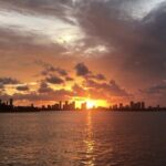 Transfers in Miami - What To Expect During Your Transfer