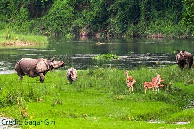 Transport Cover Nepal - What Reviewers Say: Authentic Insights