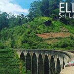 Travel to Ella from Galle with Udawalawe national park safari on the way - Who Is This Tour Best For?