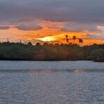 Treasure Coast Sunset Eco Tour Stuart FL - In-Depth Look at the Treasure Coast Sunset Eco Tour