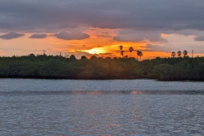 Treasure Coast Sunset Eco Tour Stuart FL - In-Depth Look at the Treasure Coast Sunset Eco Tour