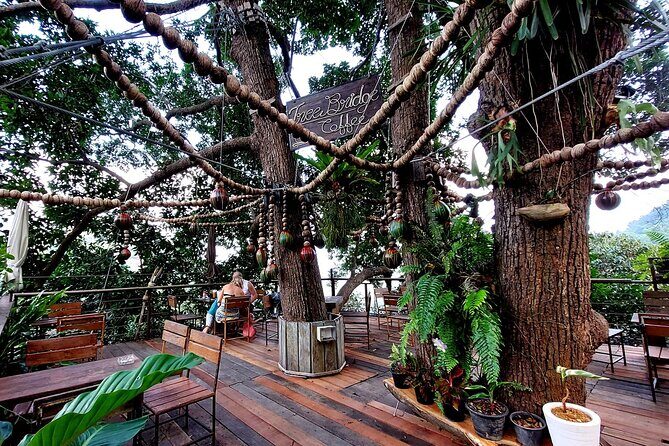 Tree Bridge Cafe And Zipline - Jungle Flight Adventure in Koh Samui - What to Expect from the Tour