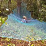 Tree Top Adventure - What the Tree Top Adventure Offers