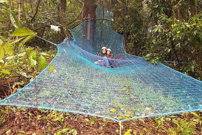 Tree Top Adventure - What the Tree Top Adventure Offers