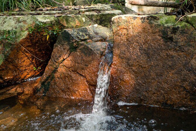 Trek Nui Chua Experience 2D1N, Night in the Jungle - Vinh Hy Bay - Final Thoughts: Who Should Consider This Tour?