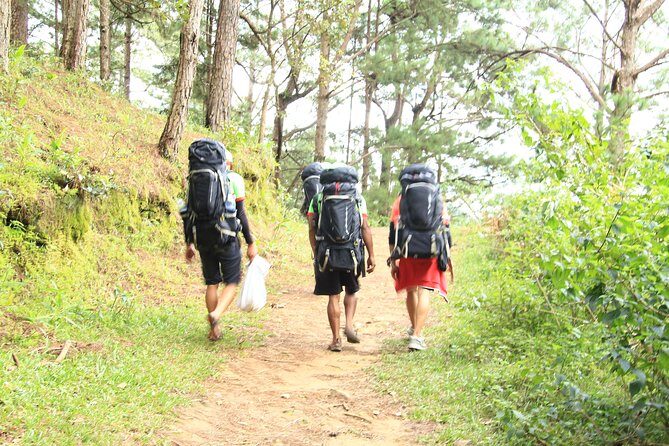 Trek On Langbian Mountain - Who Will Love This Tour?