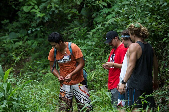 Trek to a Jungle Waterfall - The Experience from Reviews: Authentic Insights