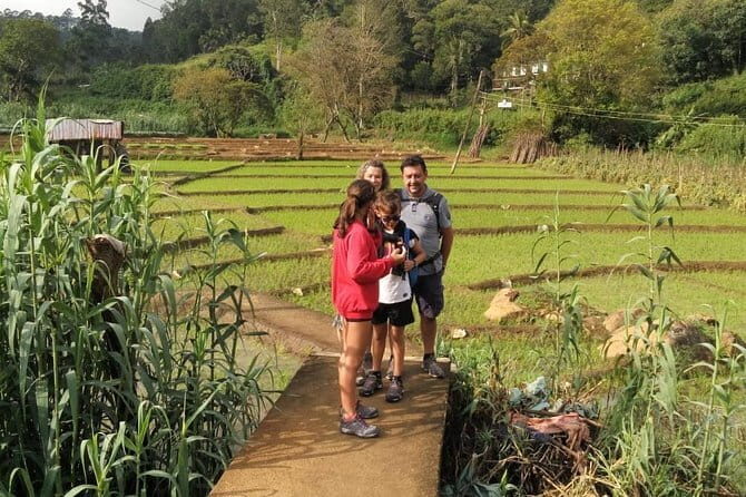 Trek to Little Adam's Peak and Nine Arches Bridge In Ella - Frequently Asked Questions