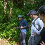 Trekking Tien Son Dinh Phu Quoc - Cultural and Culinary Experiences