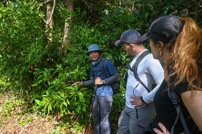 Trekking Tien Son Dinh Phu Quoc - Cultural and Culinary Experiences