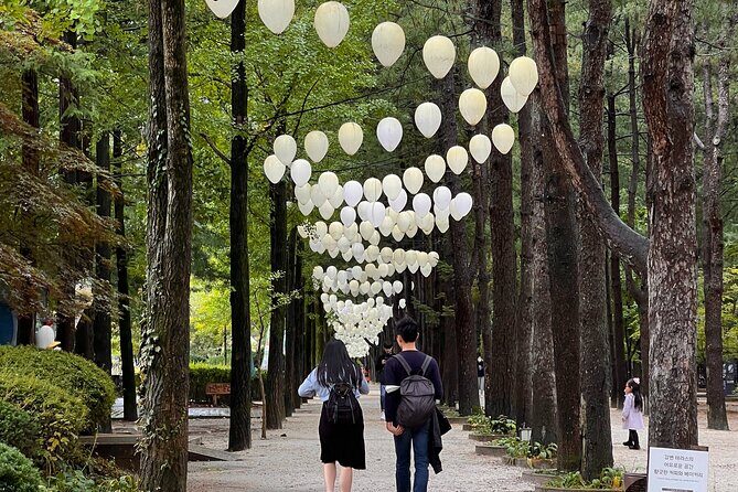 Trip to Nami Island with Petite France & Italian Village, Garden of Morning Calm - Introduction: Why This Tour Stands Out