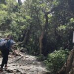 Triund Trek - Transportation and Logistics