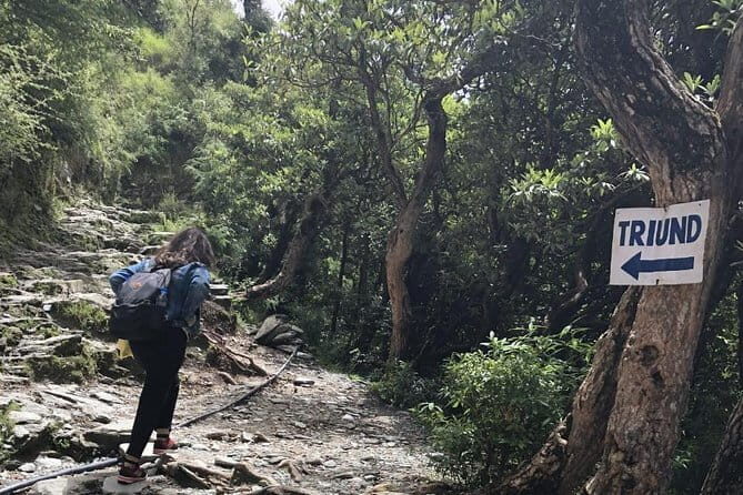 Triund Trek - Transportation and Logistics
