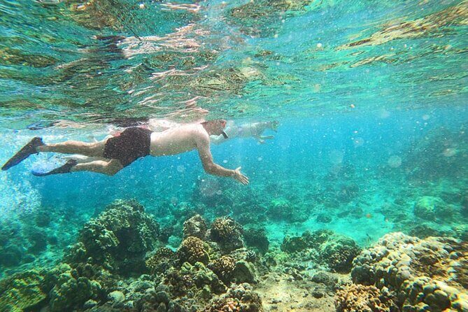Tropical Reef & Wildlife Boat Snorkel Adventure - What Reviewers Say