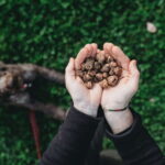 Truffle hunt in Chianti with cooking class and sunset dinner - Truffle Hunt and Cooking Class: A Taste of Authentic Tuscany