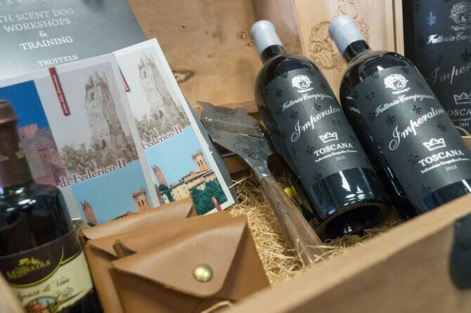 Truffle hunting and lunch experience, with Vinci and winery. - The Practicalities: What You Need to Know
