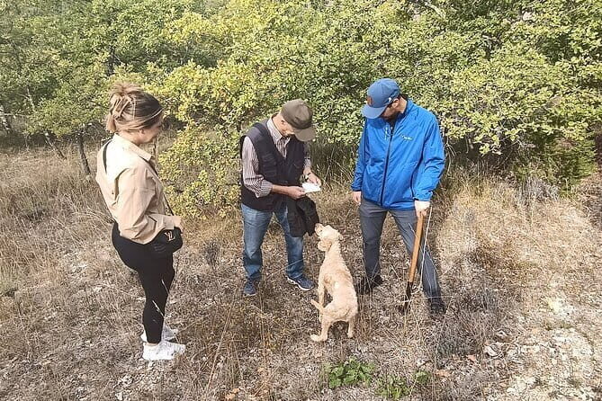 Truffle hunting experience with lunch and Chianti wine tasting - Authenticity and Value