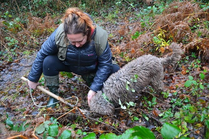 Truffle Hunting Experience with Lunch in San Miniato - What’s the Trip Really Like?