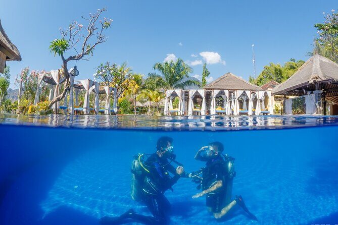 Try Dive Program in the Biorock Pemuteran - What Could Be Better