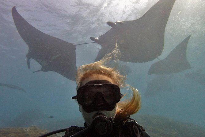 Try Dive with Manta Rays in Bali - Authentic Experiences and Honest Insights