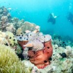 Try Scuba Diving 2 Dives Bang Bao - The Guides and Equipment: Why They Matter