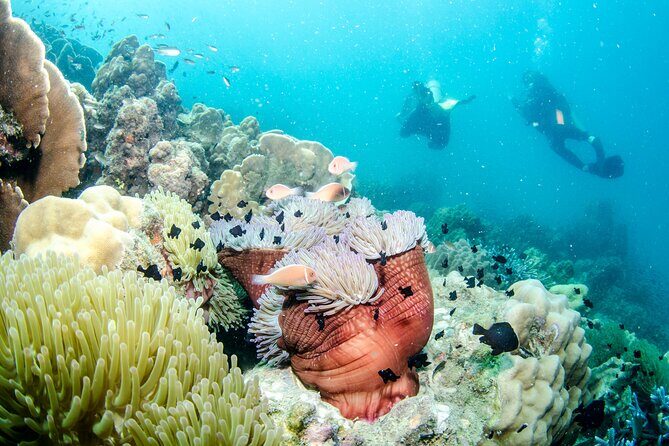Try Scuba Diving 2 Dives Bang Bao - The Guides and Equipment: Why They Matter