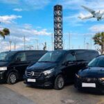 Tucson Intl Airport (TUS) to Tucson - Round-Trip Private Transfer - Who Should Consider This Service?