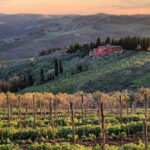 Tuk tuk in Chianti - A Close Look at the Itinerary