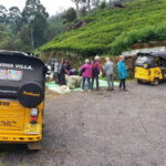 Tuk Tuk safari and Picnic in The Tea Plantation from Ella,Haputale & Bandarawela - Who Should Consider This Tour?