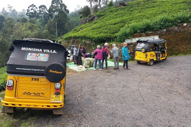 Tuk Tuk safari and Picnic in The Tea Plantation from Ella,Haputale & Bandarawela - Who Should Consider This Tour?