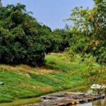 Tuk Tuk Tour (Full-Day) - Transport, Price, and Group Size