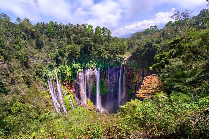 Tumpak Sewu Waterfall & Goa Tetes Private Day Tour - What We Love About This Tour