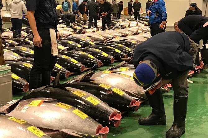 Tuna Auction and Market Tour at 'Activity Maison Kissako' - Who is This Tour Best For?