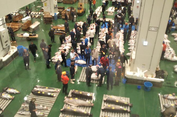 Tuna auction at Toyosu Market with qualified guide and early morning tour of Tsukiji Outer Market - Why You Should Consider This Tour