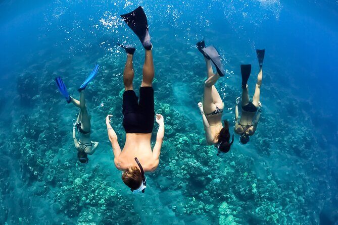 Turtles & Tacos Luxury Catamaran Snorkel - Why This Tour Works and Who It’s Perfect For