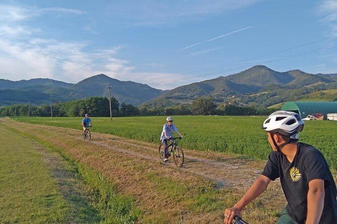 Tuscan countryside bike tour and food tasting - Food and Wine Tasting: Savoring Tuscan Flavors