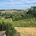 Tuscany Tour Siena - San Gimignano - Winery - Final Thoughts