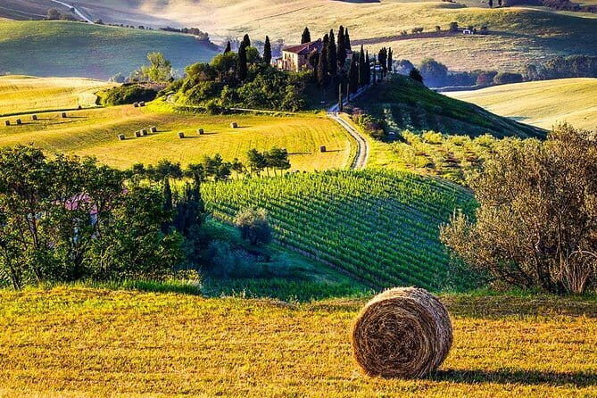 Tuscany Wine & Hills from Florence - Transportation and Group Experience