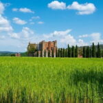 Tuscany's hidden gems: San Gimignano, Volterra, St Galgano Abbey - An In-Depth Look at the Tour Experience
